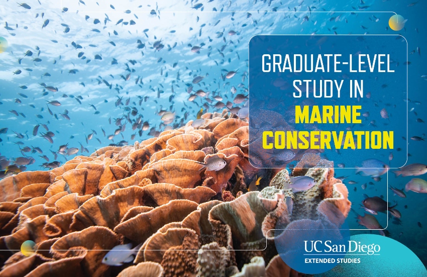 Graduate Level Study in Marine Conservation title over an underwater scene