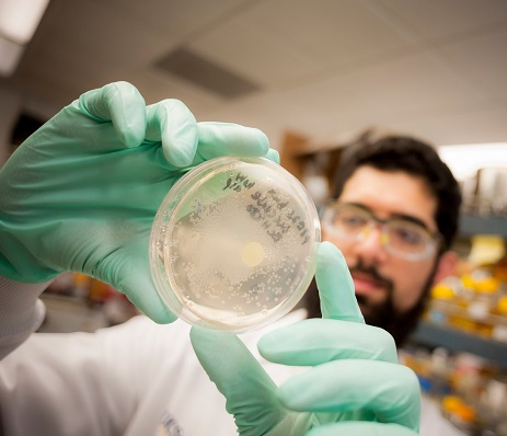 Life Sciences